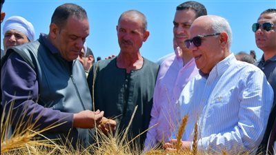 محافظ بورسعيد يشهد حصاد محصول القمح في منطقة سهل الطينة | صور 