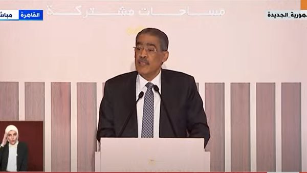 ضياء رشوان المنسق