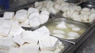 غير صالحة للاستهلاك الآدمي.. التحقيق مع مدير مخازن ألبان بها 197 طن جبن وزبدة مغشوشة بالجيزة