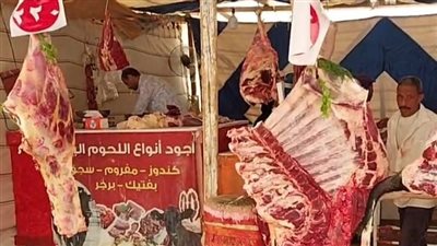 مبادرة شبابية لتخفيض أسعار اللحوم في السويس: هدفنا الناس كلها تقدر تاكل لحمة | بث مباشر