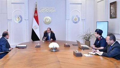 الرئيس السيسي يوجه بمواصلة تنفيذ مشروع مستقبل مصر للإنتاج الزراعي