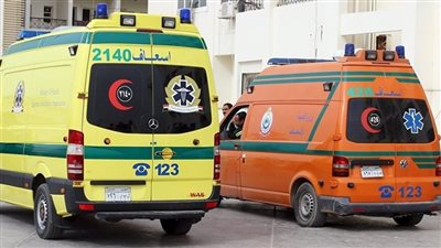 بينهم 6 أشقاء.. تفاصيل إصابة 7 أشخاص في انقلاب ميكروباص بالمنيا