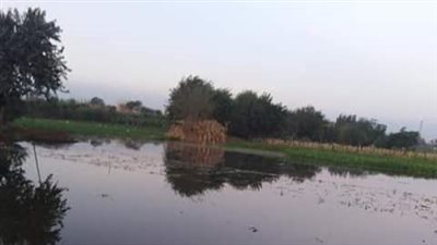 المياه تغمر 11 فدانا بعد ارتفاع منسوب النيل بالمنوفية