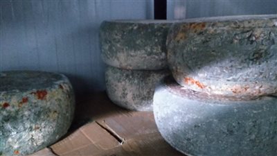 ضبط 4 آلاف عبوة عصير و160 كيلو جبنة غير صالحة للاستخدام بالغربية