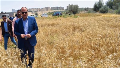 رئيس جامعة العريش: إنشاء كلية للهندسة بوسط سيناء