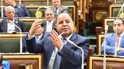 وزير المالية في البرلمان: وثائق تأمينات الحياة لم يتم المساس بها إطلاقا