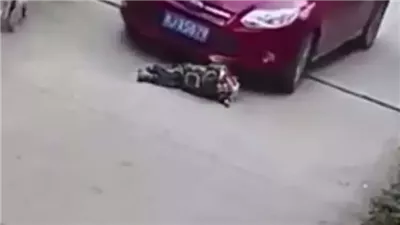 مصرع شخص صدمته سيارة نقل في الدقهلية