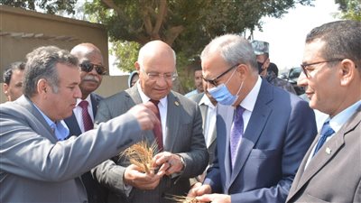محافظ القليوبية ورئيس جامعة بنها يشهدان بدء موسم حصاد القمح بكلية الزراعة بمشتهر