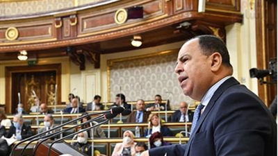 وزير المالية يطمئن المواطنين: الحكومة لم تقترب من البن غير المحمص ولا السينما والمسرح