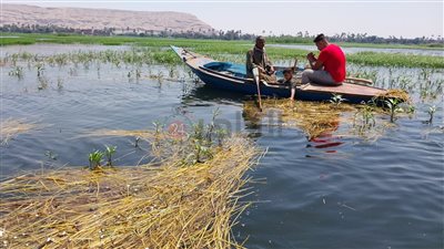 كان بيصيد سمك.. مصرع ممرض غرقًا في مياه النيل بسوهاج