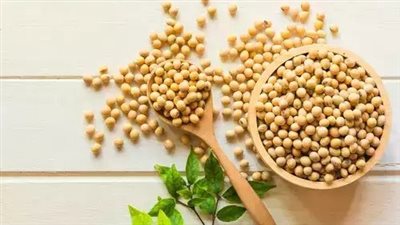 5 مصادر نباتية للبروتين غير الصويا.. تعرف عليها