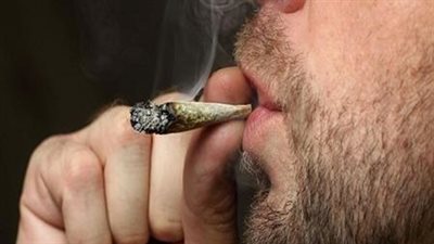 يسبب الاكتئاب وضعف القدرة الجنسية.. مكافحة الإدمان: متصدقش اللي يقولك الحشيش مش إدمان