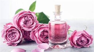 فوائد زيت الورد للبشرة.. تعرف عليها