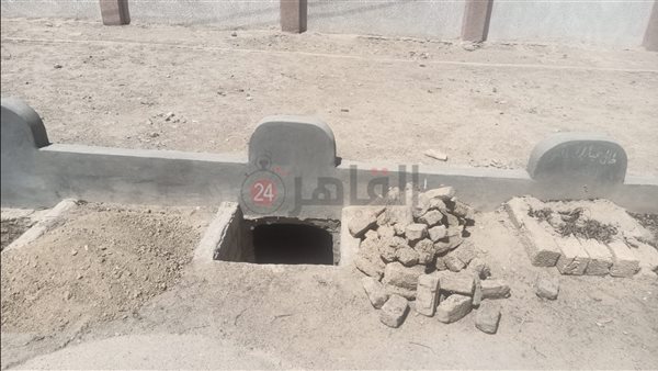 مدفن الدكتور محمود