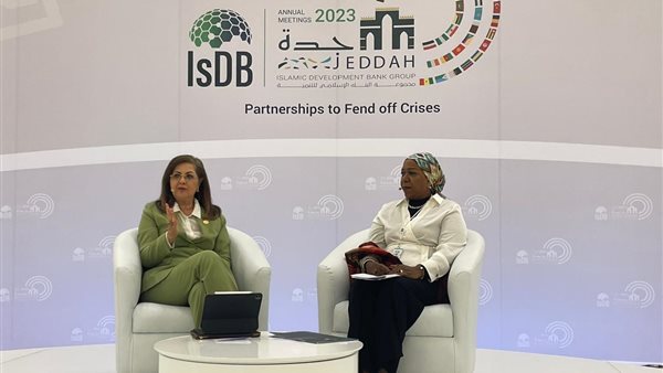 وزيرة التخطيط والتنمية