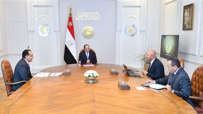 الرئيس السيسي يوجه بإعداد حزمة متكاملة من الحوافز بمناطق صناعية لتشجيع تجارة الترانزيت