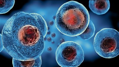 أمراض يمكن علاجها بالخلايا الجذعية.. تعرف عليها