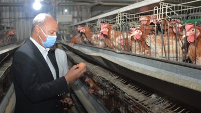 محافظ القليوبية يجري جولة ميدانية لمتابعة مشروع الـ30 مليون بيضة بالخانكة