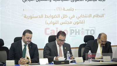 الحوار الوطني.. انطلاق جلسة مباشرة الحقوق السياسية والتمثيل النيابي 