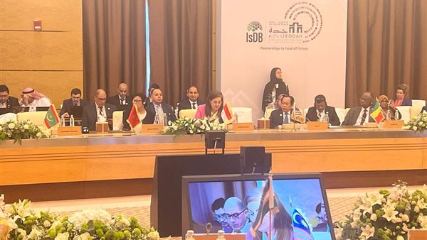 وزيرة التخطيط