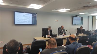 التعليم العالي: اعتماد القواعد الموحدة لعمل مراكز تنمية قدرات أعضاء هيئة التدريس بالجامعات