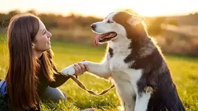 كلب ينجح في تشخيص إصابة صاحبته بالسرطان من خلال حاسة الشم