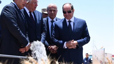 نقيب الزراعيين: إنتاج القمح من مشروع شرق العوينات للموسم المقبل سيصل إلى مليون طن