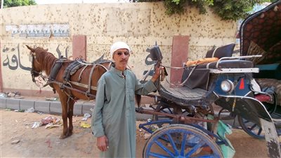 قرّب يختفي.. سائق حنطور بأسيوط: ورثته عن والدي منذ 26 عامًا والتوك توك وقّف حالنا | فيديو