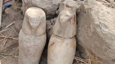 اكتشاف 4 تماثيل أثرية أثناء تنظيف الحشائش ببني سويف│ صور
