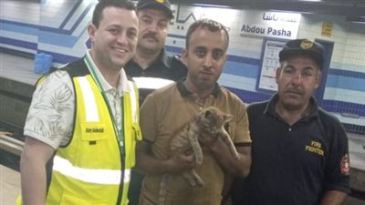 شاب ينقذ قطة من تحت قضبان المترو: تعرضت للصعق الكهربائي عدة مرات.. وخدتها البيت عندي