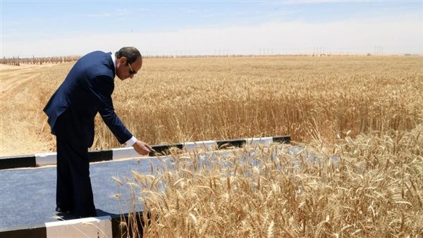 السيسي يشهد افتتاح