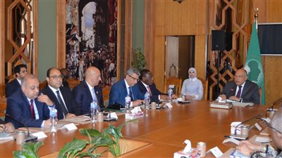 وزير الخارجية يلتقي السفراء الأفارقة بمناسبة يوم إفريقيا| صور 