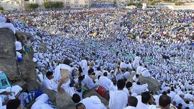 الإفتاء: لا مانع شرعا من أداء مناسك الحج وفق البرامج المقدمة من الهيئات والشركات