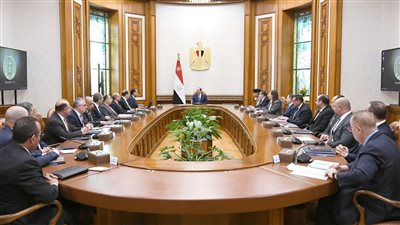 لتسهيل استيراد مستلزمات الإنتاج.. قرار عاجل للمستثمرين الأجانب لمدة 10 سنوات