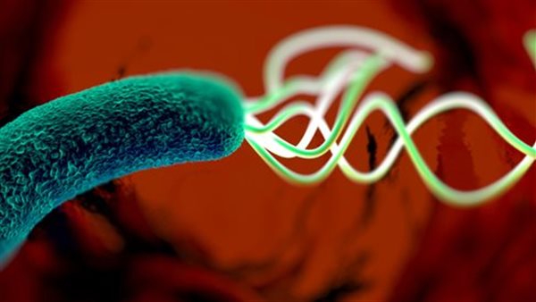 أعراض جرثومة المعدة