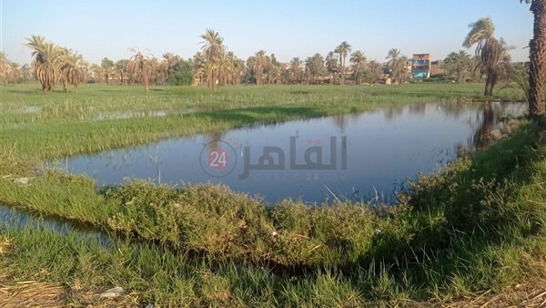 جزيرة نجع مكي 