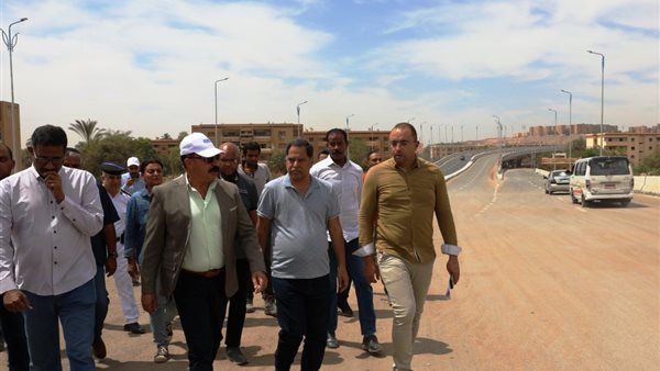 محافظ أسوان