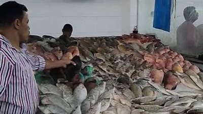 تاجر بعد قرار حظر تداول أسماك البحر الأحمر: سيؤدي لارتفاع الأسعار| بث مباشر 