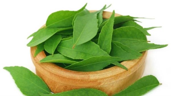 أوراق الكاري 