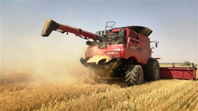 التموين: احتياطي القمح يكفي نحو 5.9 شهر