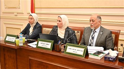 تضامن النواب توصي بزيادة موازنة تكافل وكرامة بنسبة 25%