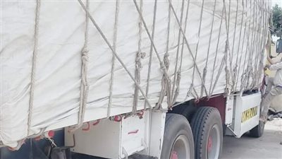 ضبط 235 طن تقاوي قمح محظورة.. و108 أطنان قمح قبل بيعها في السوق السوداء بمطروح