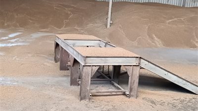 تستخدم كأعلاف للحيوانات.. التموين: ضبط 680 طن قمح مهرب بمحافظات مصر | صور