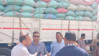 ضبط 3 سيارات محملة بـ 74 طنًا من محصول القمح بهدف الاحتكار في المنيا