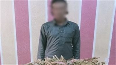 القبض على تاجر مخدرات في شمال سيناء بمضبوطات قيمتها 600 ألف جنيه