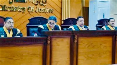 المحكمة تأمر بضبط وإحضار 28 متهما بالتجمهر واستعراض العنف والتعدي على رجال الشرطة بالقليوبية