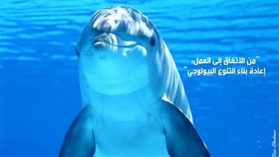 مصر تشارك العالم الاحتفال باليوم العالمي للتنوع البيولوجي 2023 على منصات التواصل الاجتماعي | صور 