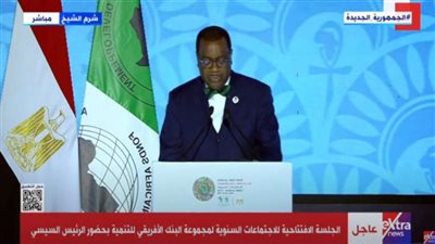 رئيس بنك التنمية الإفريقي: تغيرات المناخ حتى 2030 تهددنا بخسائر قد تصل إلى 50 مليار دولار 