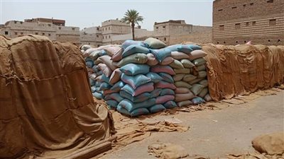 الغرفة التجارية: طرح القمح بالبورصة السلعية ساهم في تخفيض أسعاره للمطاحن