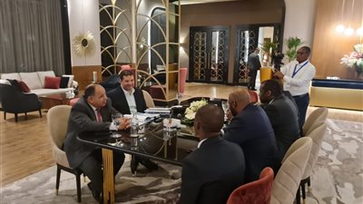 وزير المالية: نضع إمكانياتنا وقدراتنا وخبراتنا في خدمة الأشقاء الأفارقة